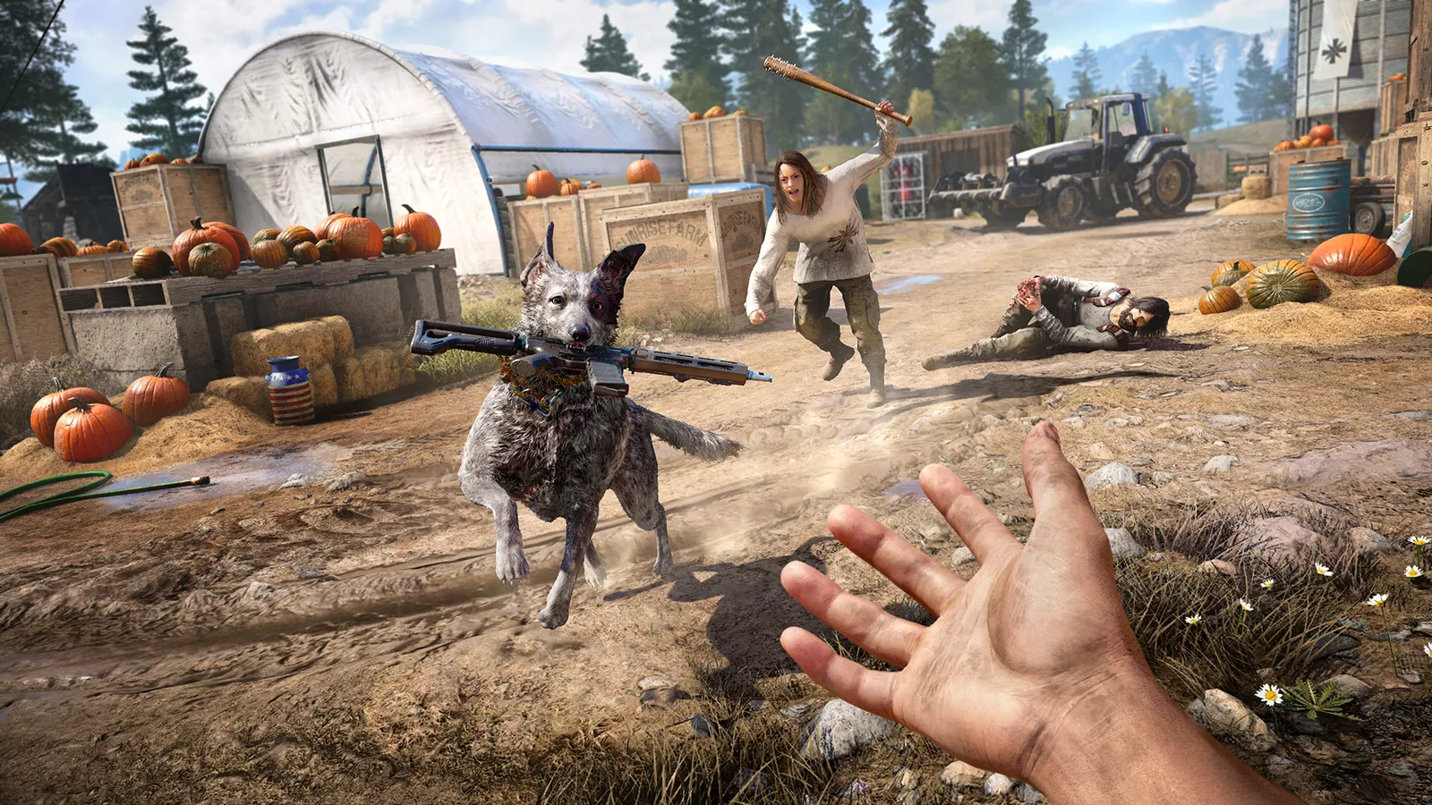 Far Cry 5 captura de pantalla 4
