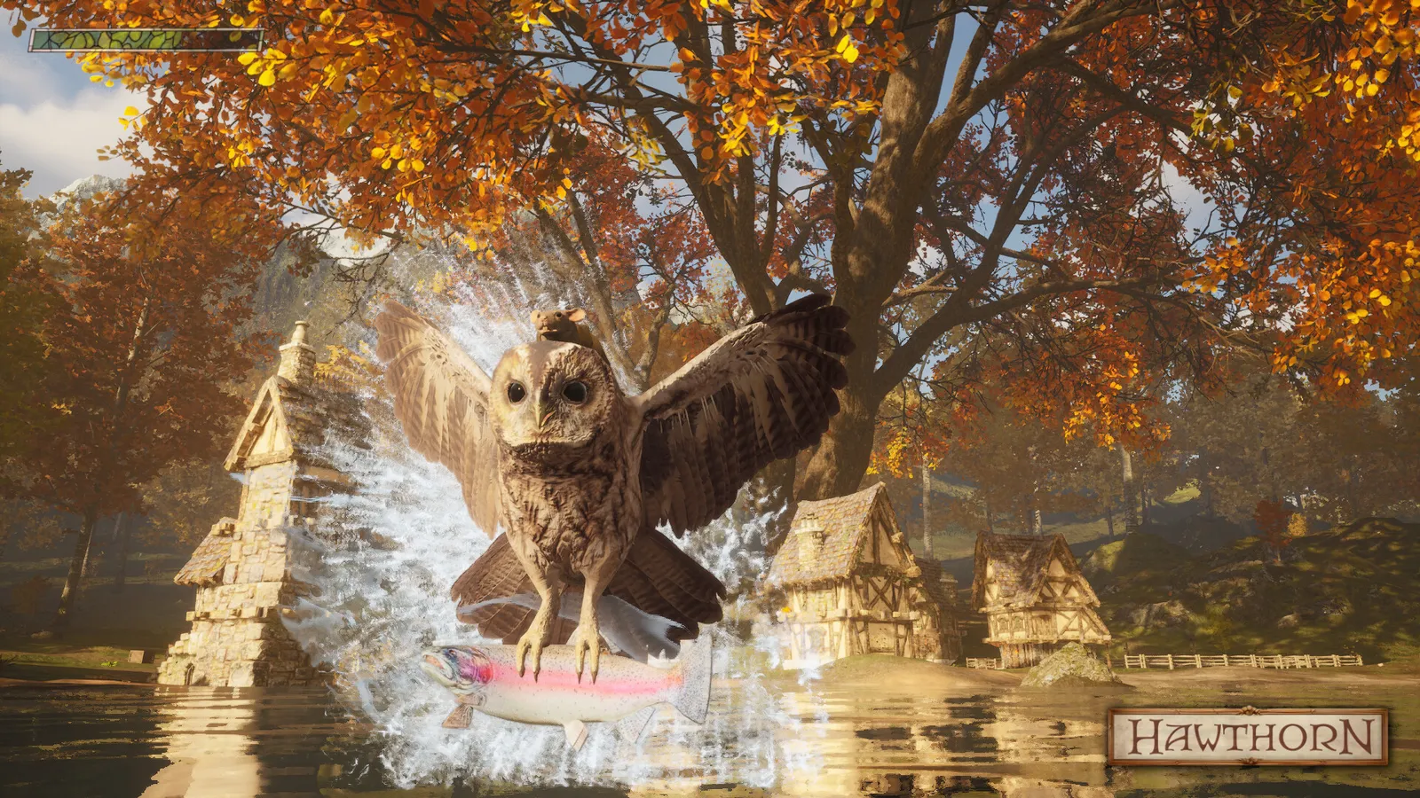 Hawthorn screenshot 2
