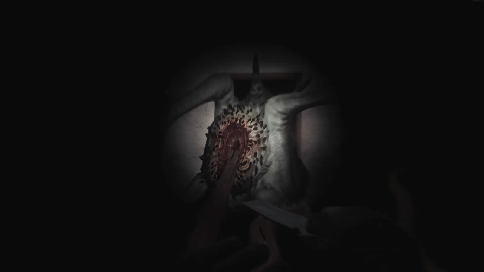 SCP: 5K captura de pantalla 3